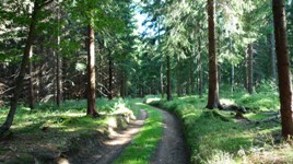 Steppenwolf Bikestation, Hoteleigener Radverleih, Werkstatt im Erzgebirge