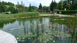 Naturschutzzentrum Erzgebirge, Singeltrails, Offroad Bike