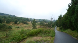 Familiengeeignete Fahrradtouren, Urlaub mit dem Rad, Radwochenende, Fernradwege, Tour Angebote