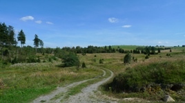 Fotos Impressionen von der Fahrradtour, Bikers, Mountainbiken, berquerungen im dem MTB, Trans Sachschen Tour, Rennrder