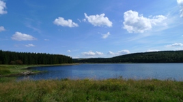 Fahrradgruppe im Zollhaus, Erlebinis Fahrradtouren, Rund ums Fahrrad, mit dem Fahrrad Urlaub machen, Kultur und Rad