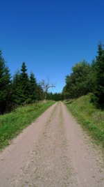 Landesmeisterschaften im Mountainbiken, Downhill Meisterschaften in Sachsen, MTB-Bundesliga