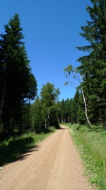 MTB Trail, Mountainbiking Region Schsische Schweiz, Nationale Meisterschaften im Biken, MTB-XC Race