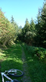 biken im Erzgebirge, Sschsische Meisterschaften im Cross Courntry, Meisterschaften in Altenberg,