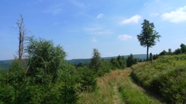 Rad Mietstation im Erzgebirge, Satelittennavigation, Tomtom