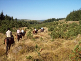 reiten pferde reitsport pferdesport wanderreiten pferdehof pferdewirt hermsdorf domke kammreiter